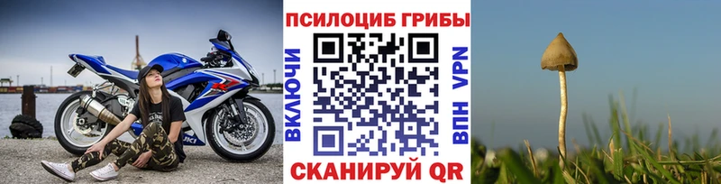 Купить где  Солнечногорск  Псилоцибиновые грибы Cubensis 